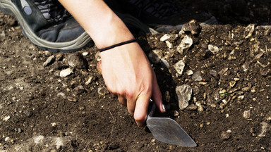 Gliwiccy archeolodzy znaleźli pozostałości po dawnych siedzibach rycerzy