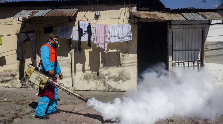 Ahol Zikával fertőzött embereket regisztráltak, azonnal megkezdték a fertőtlenítési akciókat /Fotó: MTI