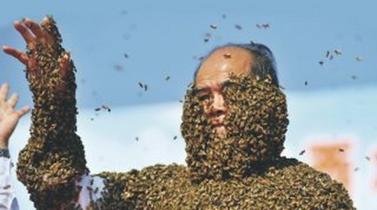 Őrület! Több ezer méh borította be