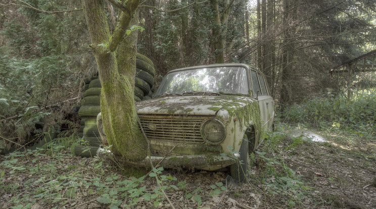 Elképesztő képek kerültek elő elhagyatott autókról / Fotó: Northfoto