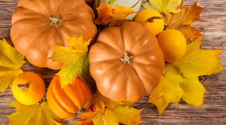 Használjuk ki az
ősz kincsének jótékony hatását /Fotó: Shutterstock