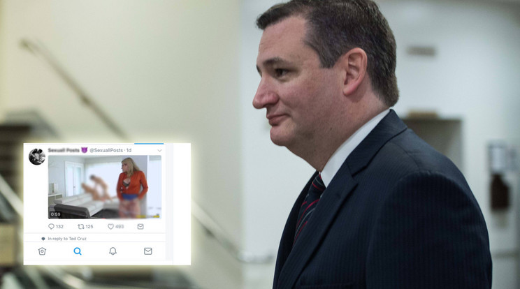 Ted Cruz lebukott, beindult a mémgyár / Fotó: AFP