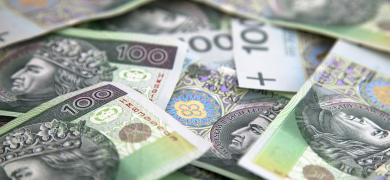 Belka: Polska ma niedowartościowaną walutę
