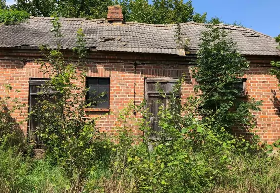 Polscy ruinersi robią dom z obory. "Nie wyczuwamy zapachów"