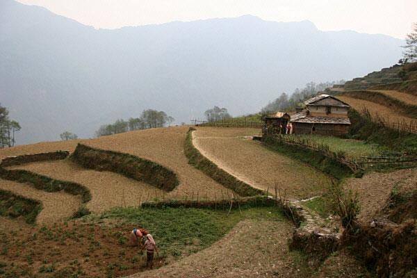 Galeria Nepal - trekking do  Południowego Sanktuarium  Annapurny, obrazek 50