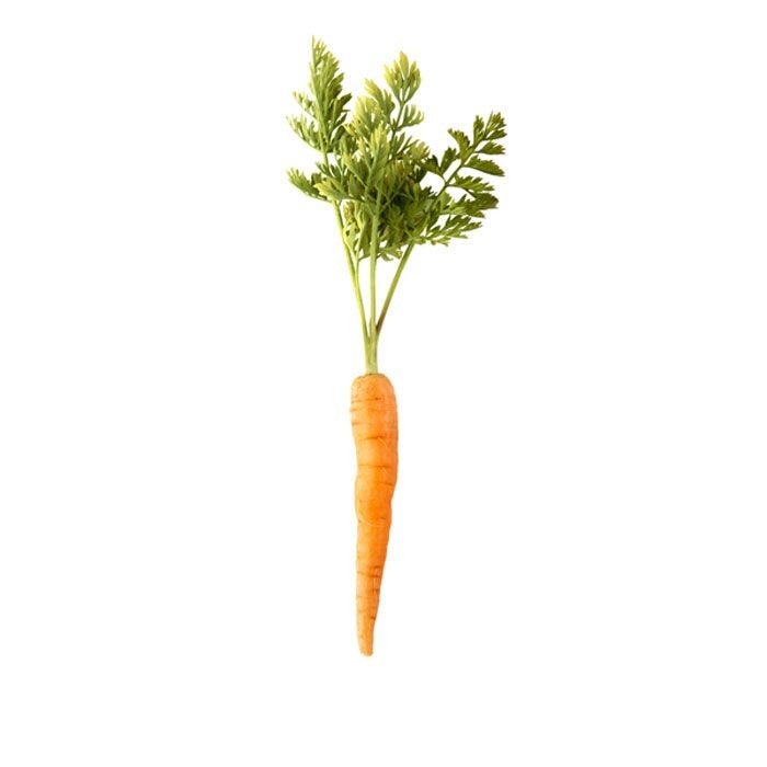 types of penises- hairy carrot 