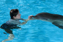 "Mój przyjaciel delfin"