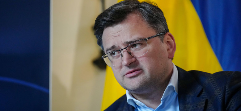 Ukraiński minister sfrustrowany decyzją Niemiec. "Gdzie jest problem?"