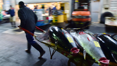 Przeprowadzka słynnego targu rybnego Tsukiji w Tokio jeszcze nie w tym roku