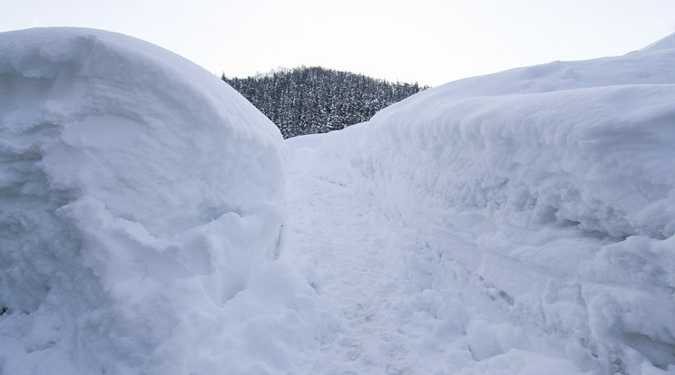 Szerencsére, friss volt a hó, lehetett belőle kunyhót építeni / Fotó: Shutterstock