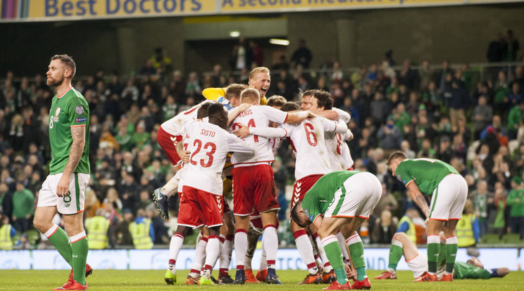 Dánia 5-1-re győzött Írországban, és 2010 után újra szerepelhet a labdarúgó-világbajnokságon /Fotó: AFP
