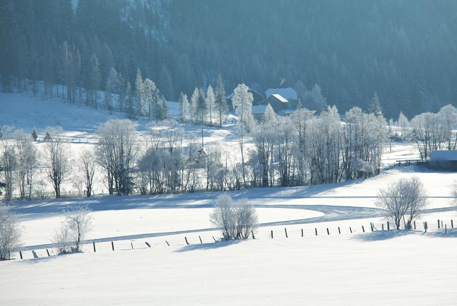 A korai vélemények alapján az átlagosál inkább enyhébb télre számíthatunk /Illusztráció: Northfoto