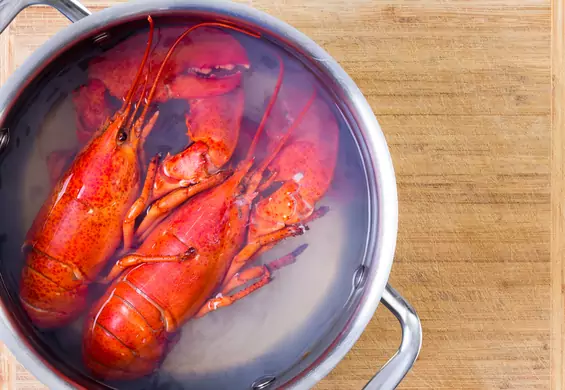 Szwajcaria pierwszym krajem, który zakazuje gotowania żywych homarów