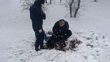 Obława na mężczyznę podejrzanego o postrzelenie policjantów. Wyróżniony zostanie pracownik zoo