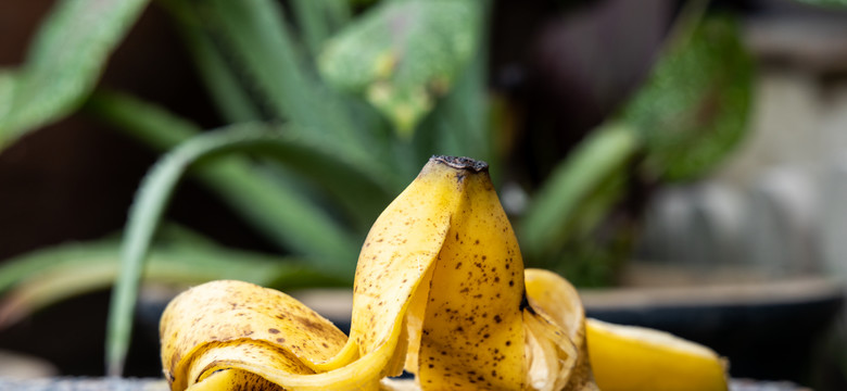 Gnojówka z bananów to płynne złoto. Jak przygotować?