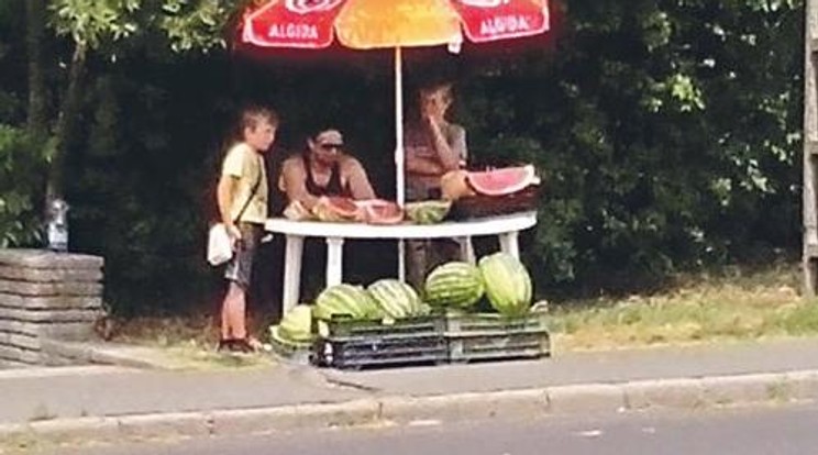 VV Fecó 400 ezret  keres a dinnyéből