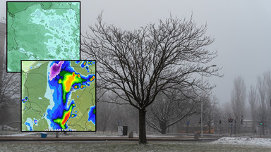Sprawdziliśmy, czy wróci jeszcze sroga zima. Prognozy pogody nie pozostawiają złudzeń