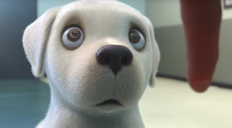 Könnyfakasztó minifilm került fel a netre egy vakvezető kutyáról - Bírd ki sírás nélkül!
