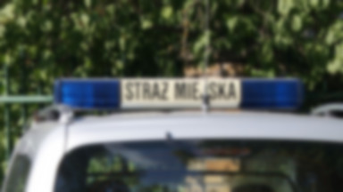 Mężczyzna ukradł z samochodu 65 tys. zł. Zatrzymali go strażnicy miejscy
