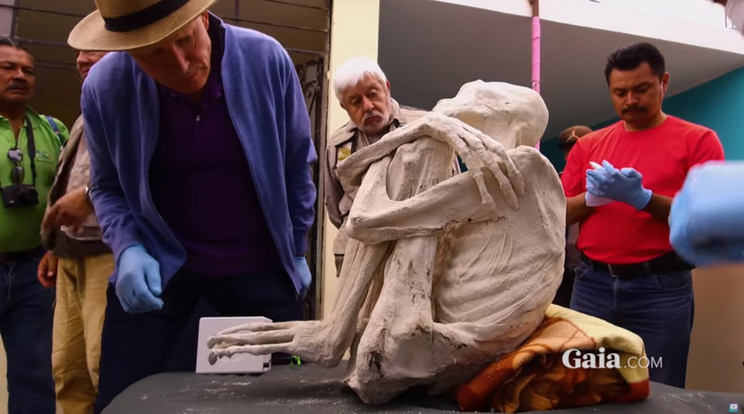 A háromujjú, fehérre
aszott múmiákat alaposan megvizsgálták