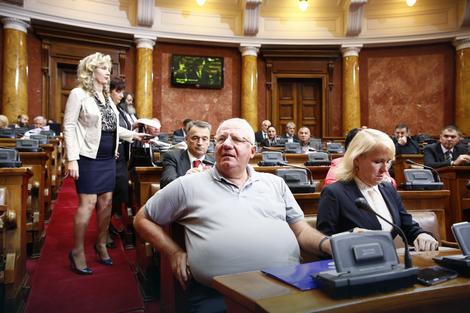 Vojislav &Scaron;e&scaron;elj