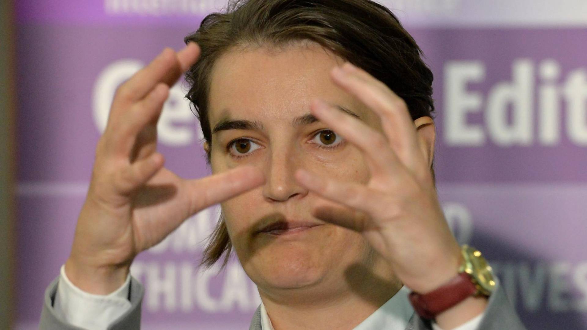 Molimo Anu Brnabić da se sabere