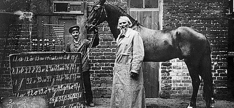 Niemiec twierdził, że nauczył konia czytać i liczyć. Niezwykły przypadek Mądrego Hansa