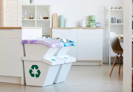 Segregowanie śmieci — sprawdź, gdzie wyrzucić paragon czy karton po mleku