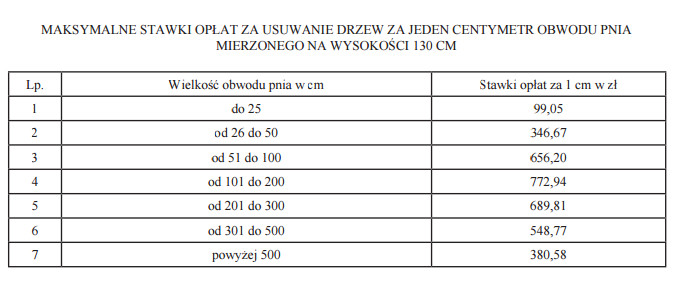 Opłaty za wycinkę drzew