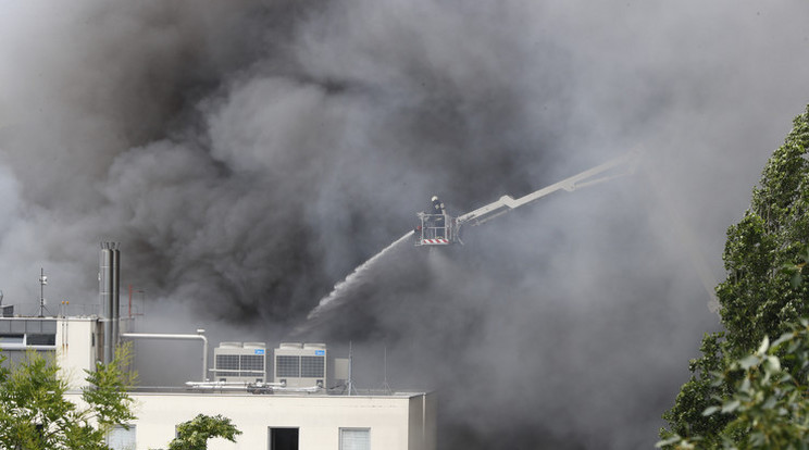 A tűz próbára tette a tűzoltók képességeit /Fotó: Fuszek Gábor
