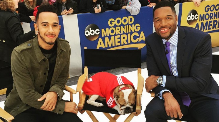 Lewis Hamilton, a
Mercedes ásza Coco nevű kutyájával szerepelt egy tévéműsorban/Fotó:Instagram