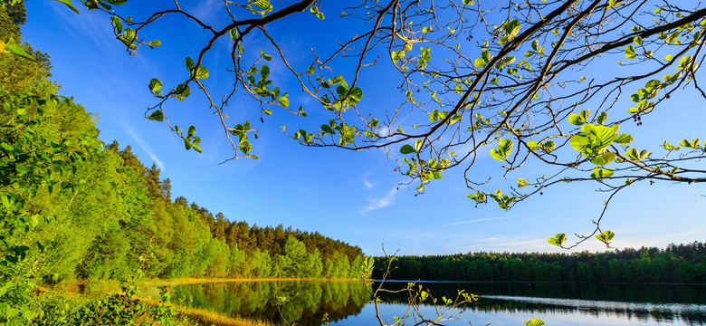 Oto najbardziej przejrzyste jezioro w Polsce