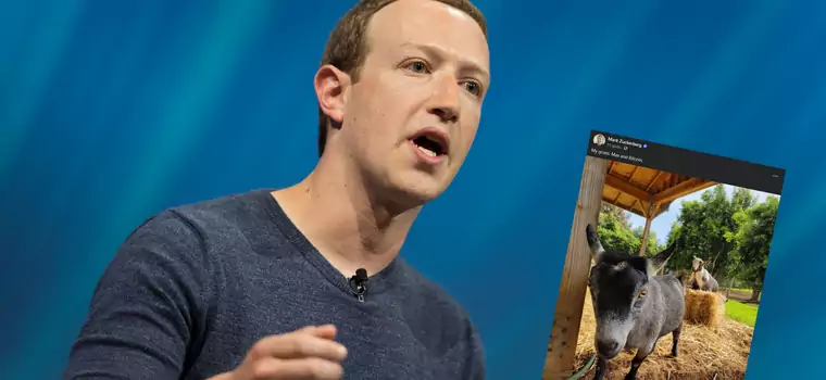 Zuckerberg zaprezentował światu swoje… kozy. Jedna z nich nazywa się Bitcoin