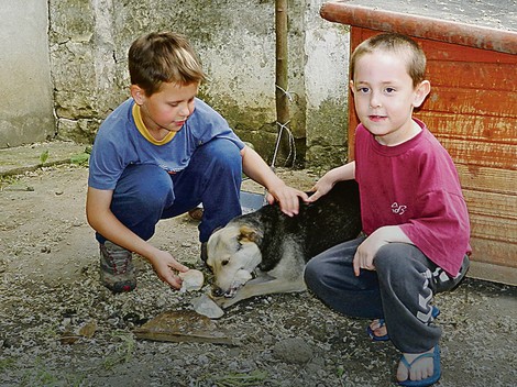 Oni imaju samo stare igračke i dva psa koji im prave društvo