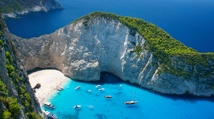 Kelet virága, Zakynthos /Fotó: Shutterstock