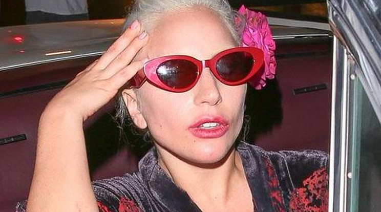 Lady Gaga perrel fenyeget az anyatejes fagyi miatt!