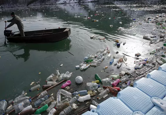Bakterie z jezior "lubią" plastik. Może to pomóc w walce z tym zanieczyszczeniem