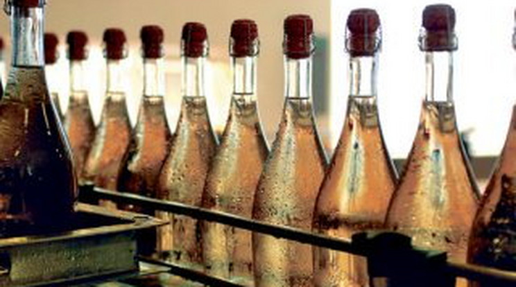 Az izsáki pezsgő franciaországi sikere