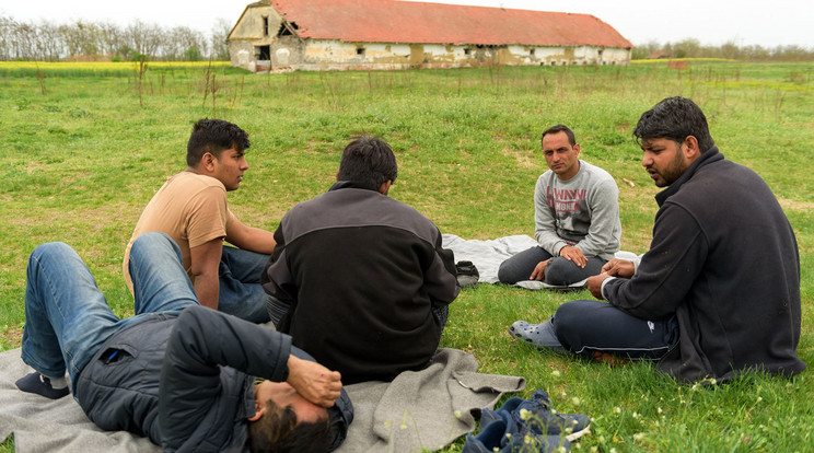 Menekültek horgosnál, a szerb-magyar határ közelében, egy elhagyott birtokon, 2018 tavaszán / MTI Fotó: Molnár Edvárd