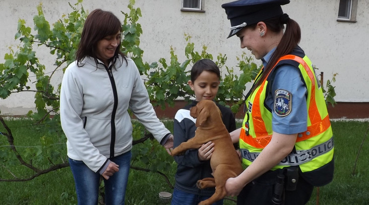 A szerelmének lopta el a kiskutyát a fiatal fiú/Fotó: -police.hu