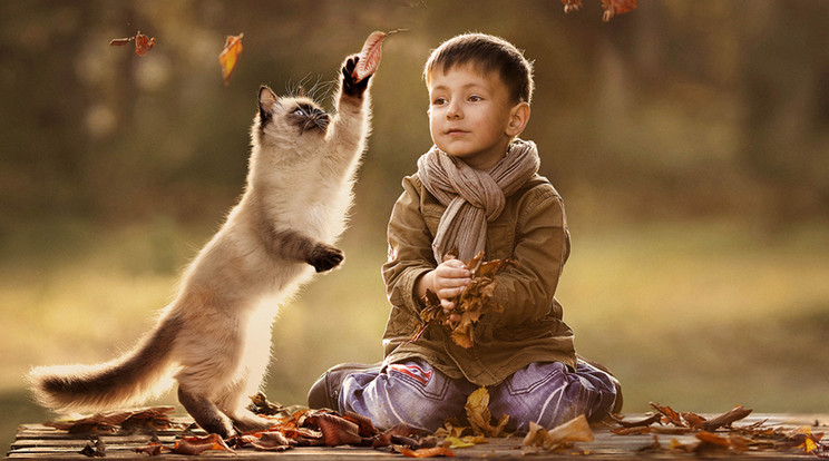 Elena Shumilova fotója / Fotó: profimedia-reddot