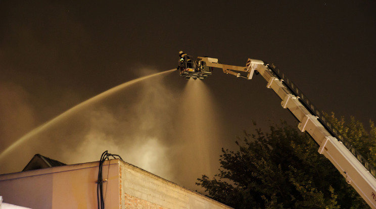 Negyven tűzoltó küzdött a lángokkal, emelőkosárból is oltottak / Fotó: MTI - Lakatos Péter
