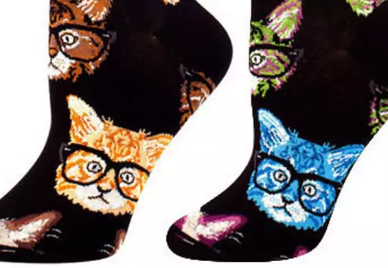 Najlepsze kocie skarpety, czyli jak połączyć miłość do kotów i modę na kolorowe skarpety