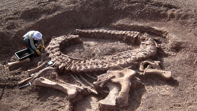 Naukowcy wyizolowali z kości dinozaura białko mające 195 milionów lat