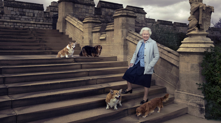 II. Erzsébet és kutyái /Fotó: Northfoto