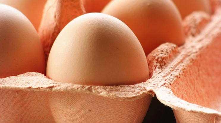 Agrármarketing Centrum: a tojás maga a csoda!
