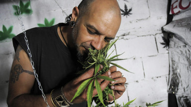 "Legalizacja marihuany jest sprzeczna z konwencją ONZ"