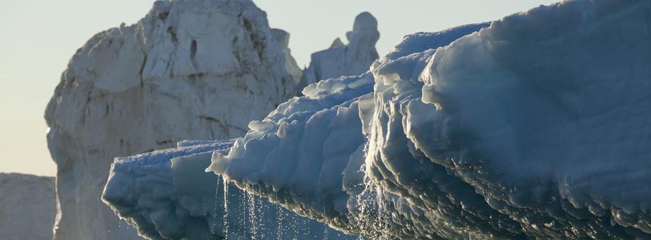 Jeśli grenlandzki lądolód ulegnie całkowitemu rozpuszczeniu, wówczas światowy poziom wód w morzach i oceanach może podnieść się nawet o sześć metrów