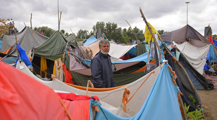 Migránsok a szerb-magyar határ közelében kialakított táborban / Fotó: MTI-Molnár Edvárd