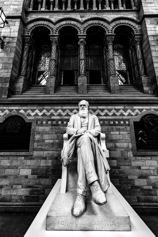 Pomnik Charlesa Darwina w Muzeum Historii Naturalnej w Londynie